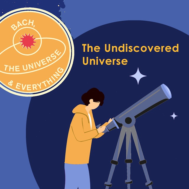 The Undiscovered Universe