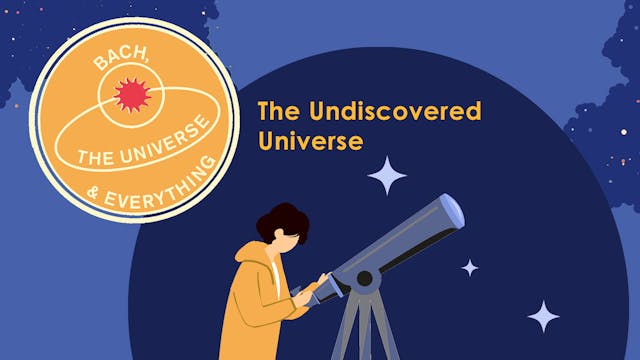 The Undiscovered Universe