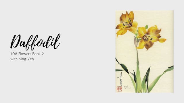 Daffodil