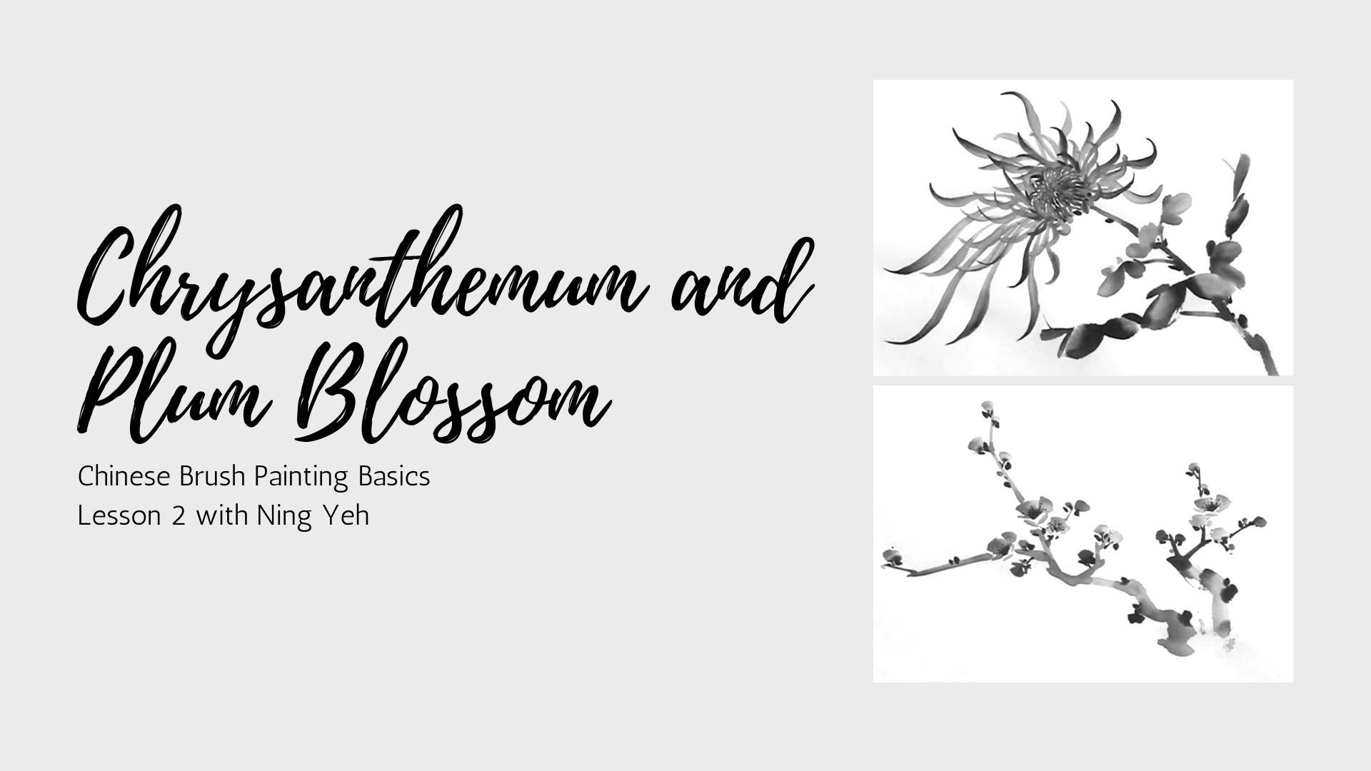 Chinese Brush Painting Basics: Lesson 2 - Chrysanthemum & Plum