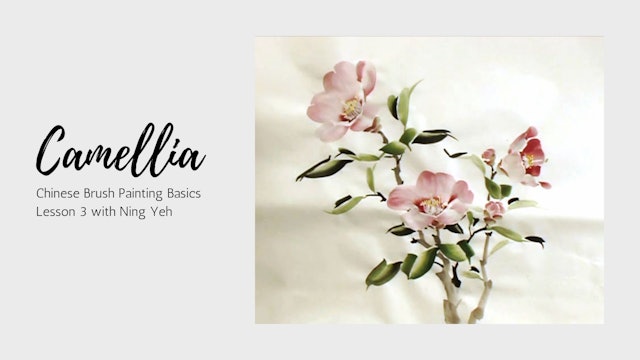 Chinese Brush Painting Basics: Lesson 3 - Camellia
