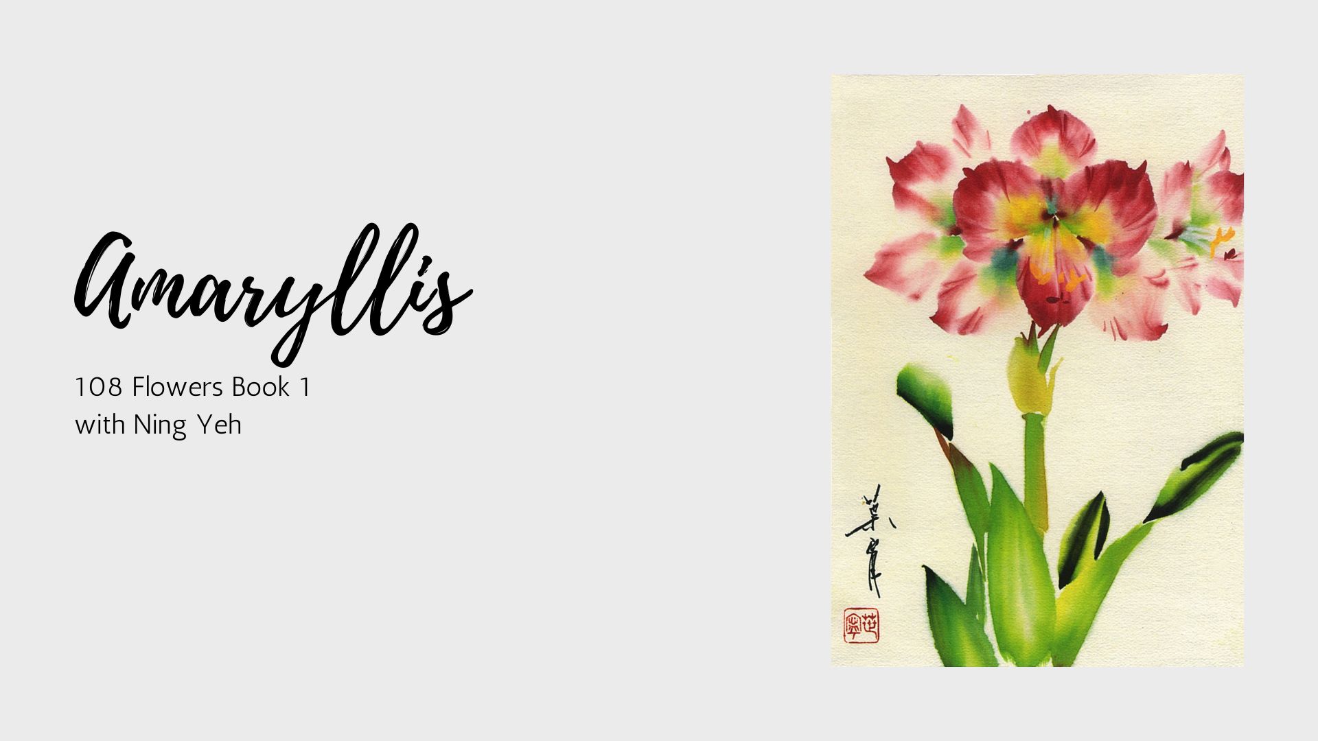 Amaryllis