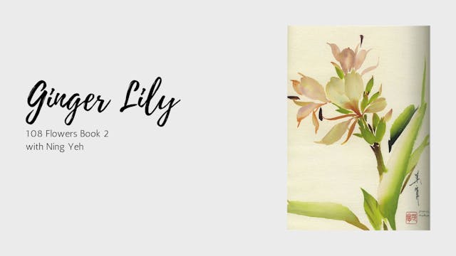 Ginger Lily