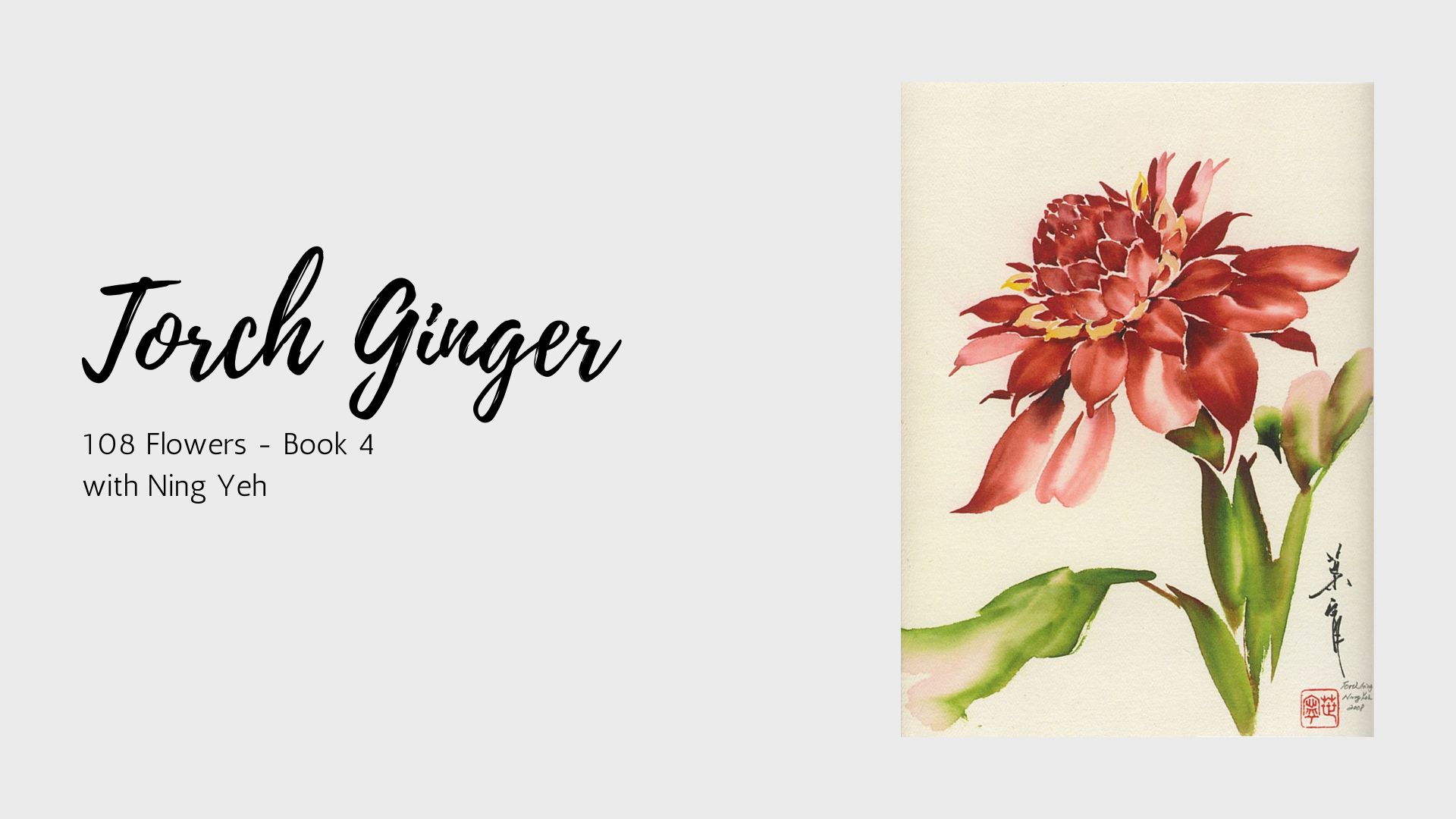 Torch Ginger