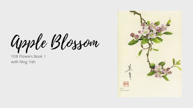 Apple Blossom