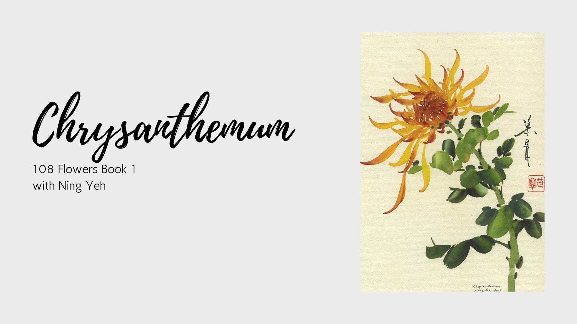 Chrysanthemum
