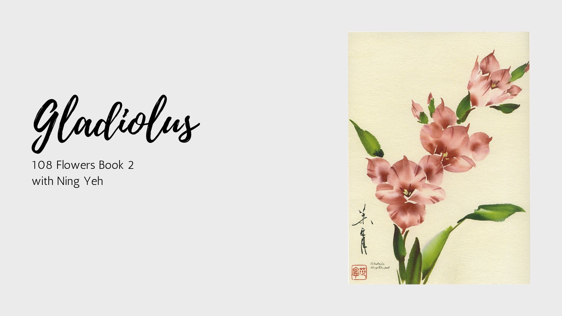 Gladiolus