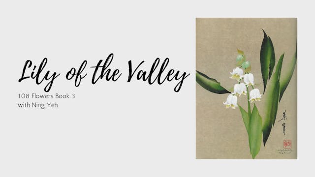 Lily of the Valley