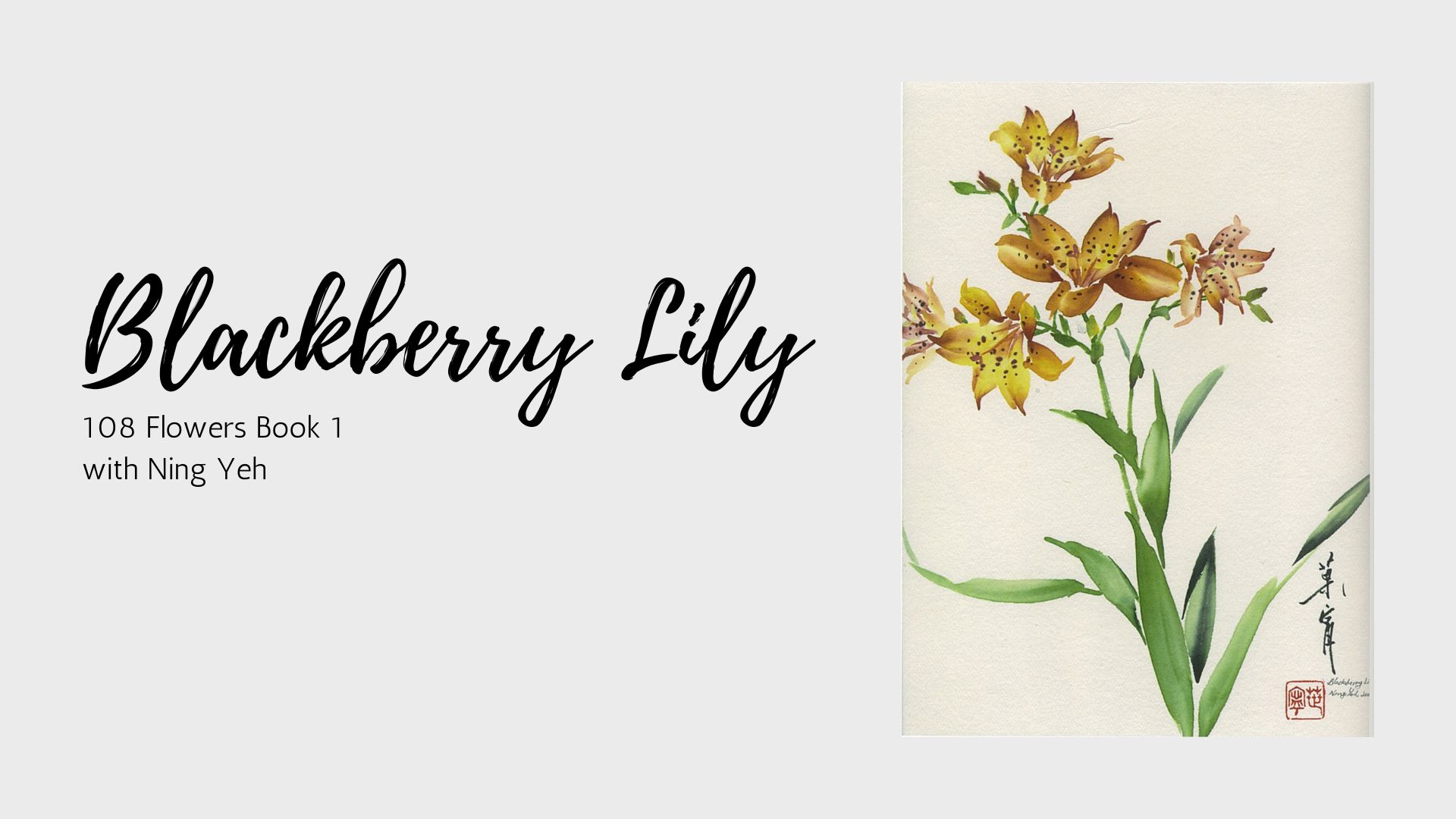 Blackberry Lily