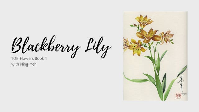 Blackberry Lily