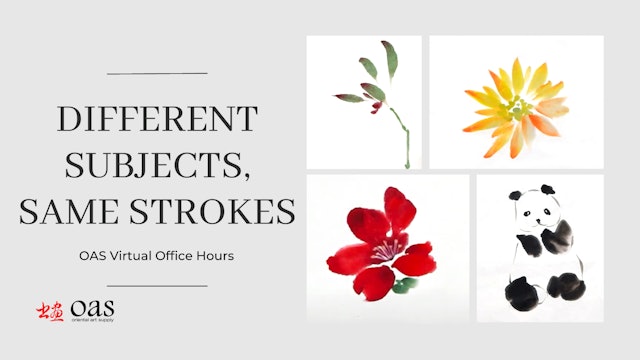 Virtual Office Hours: Different Subjects - Same Strokes