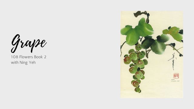 Grape