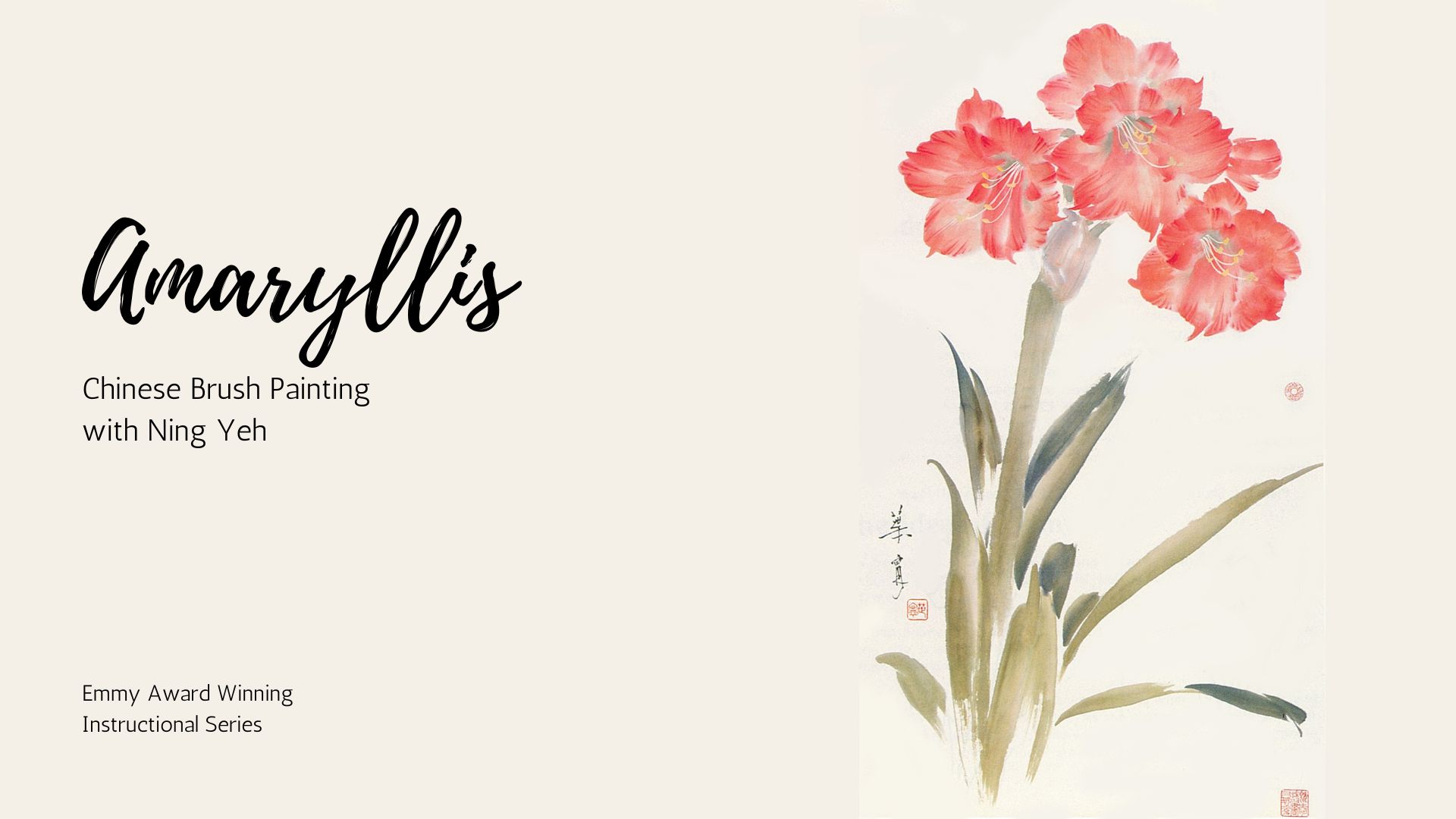 Amaryllis