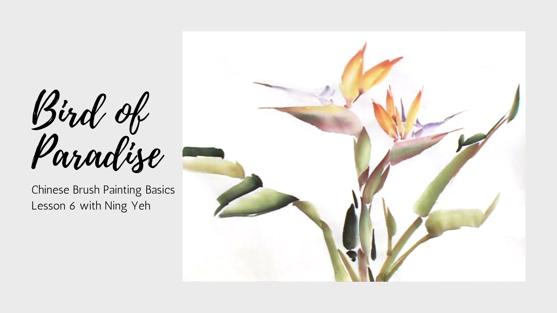 Chinese Brush Painting Basics: Lesson 6 - Bird of Paradise