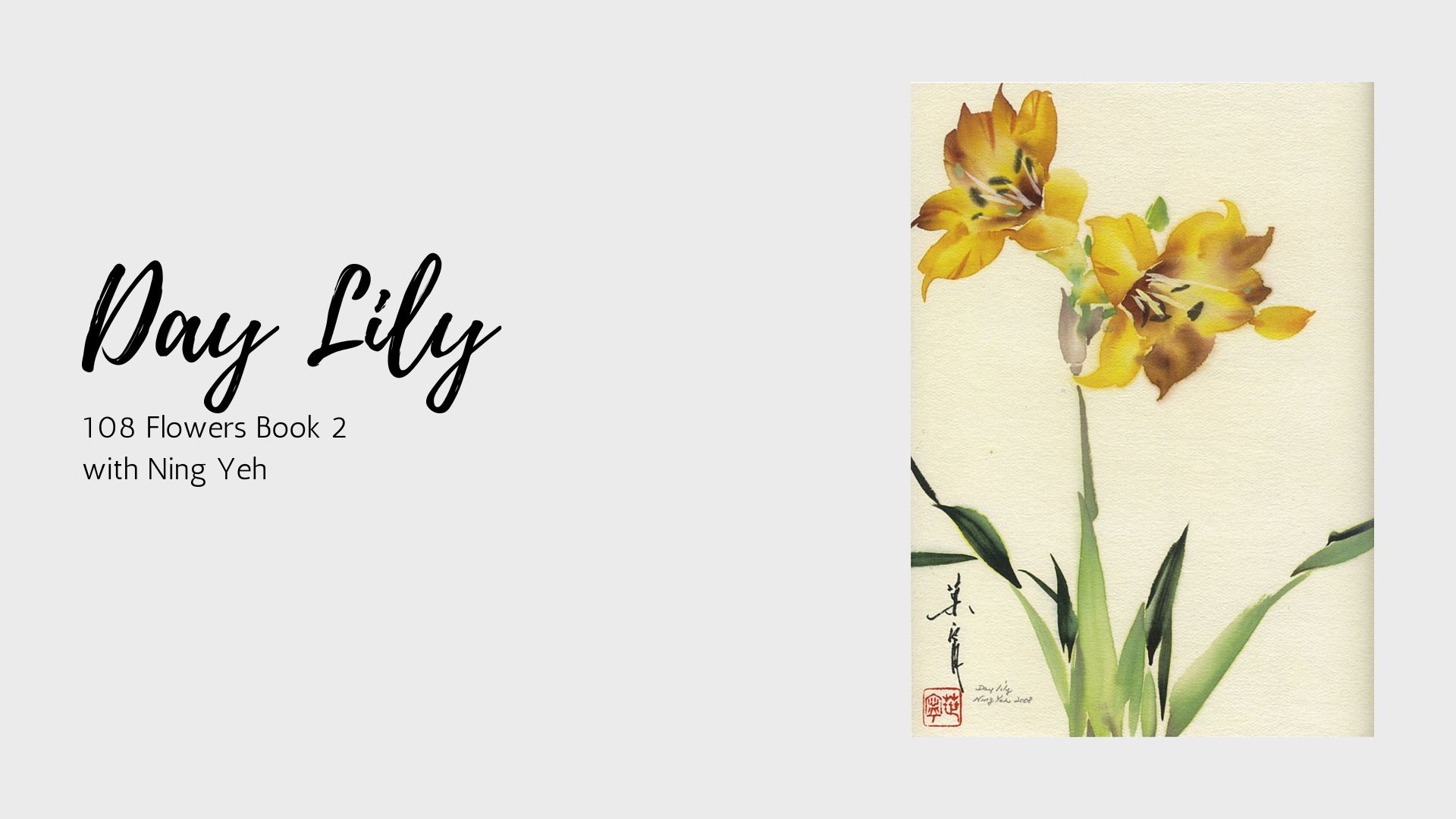 Day Lily