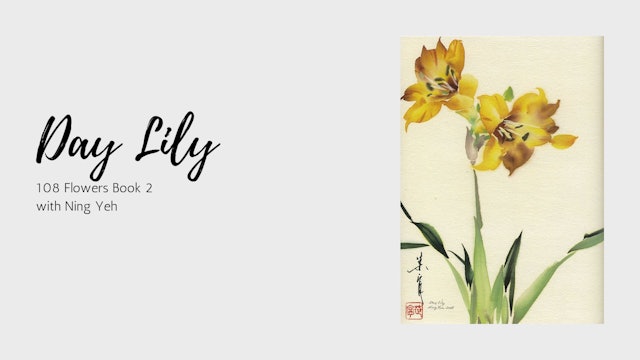 Day Lily