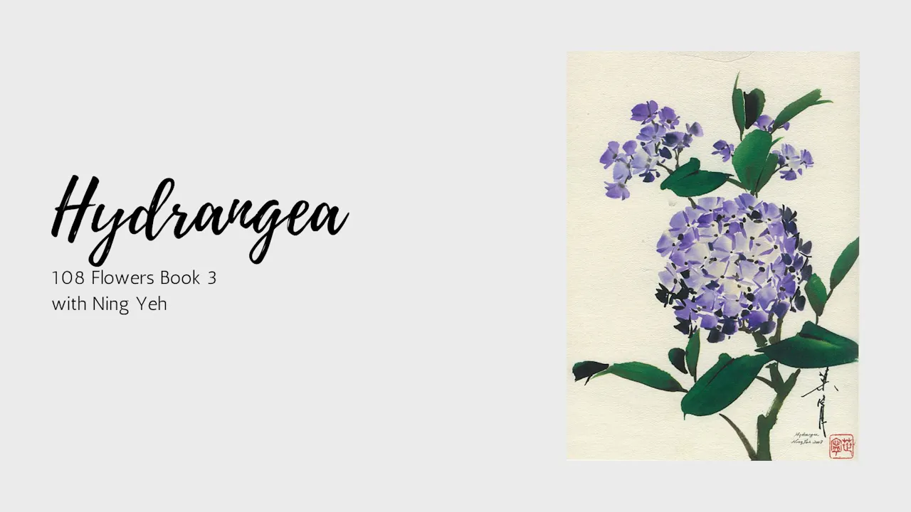Hydrangea - 108 Flowers - Book 3 - OASLife