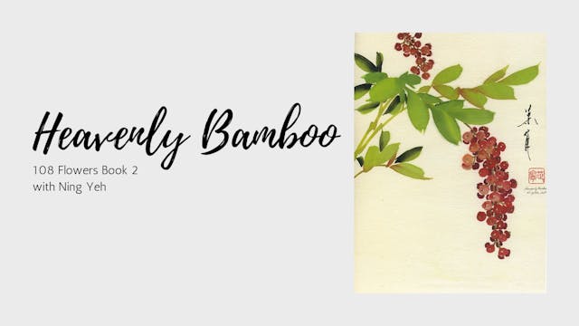 Heavenly Bamboo