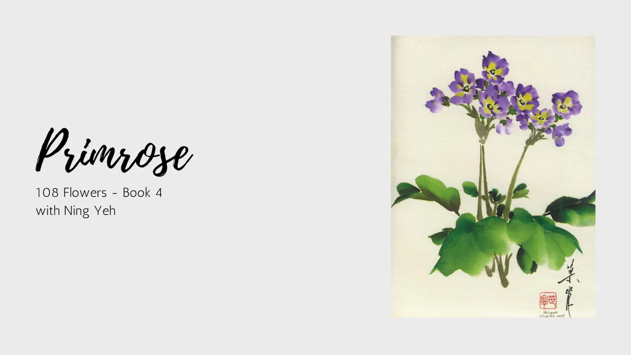 Primrose - 108 Flowers - Book 4 - OASLife