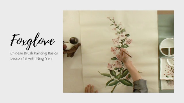 Chinese Brush Painting Basics: Lesson 16 - Foxglove