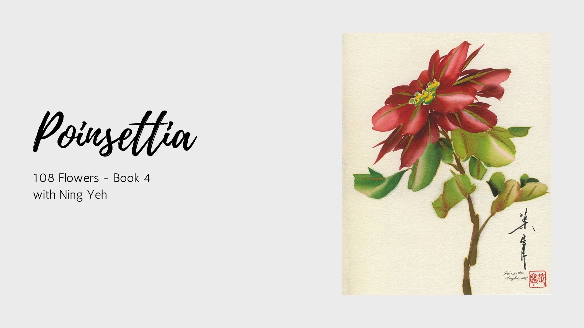 Poinsettia