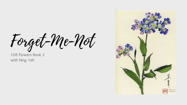 Forget-Me-Not