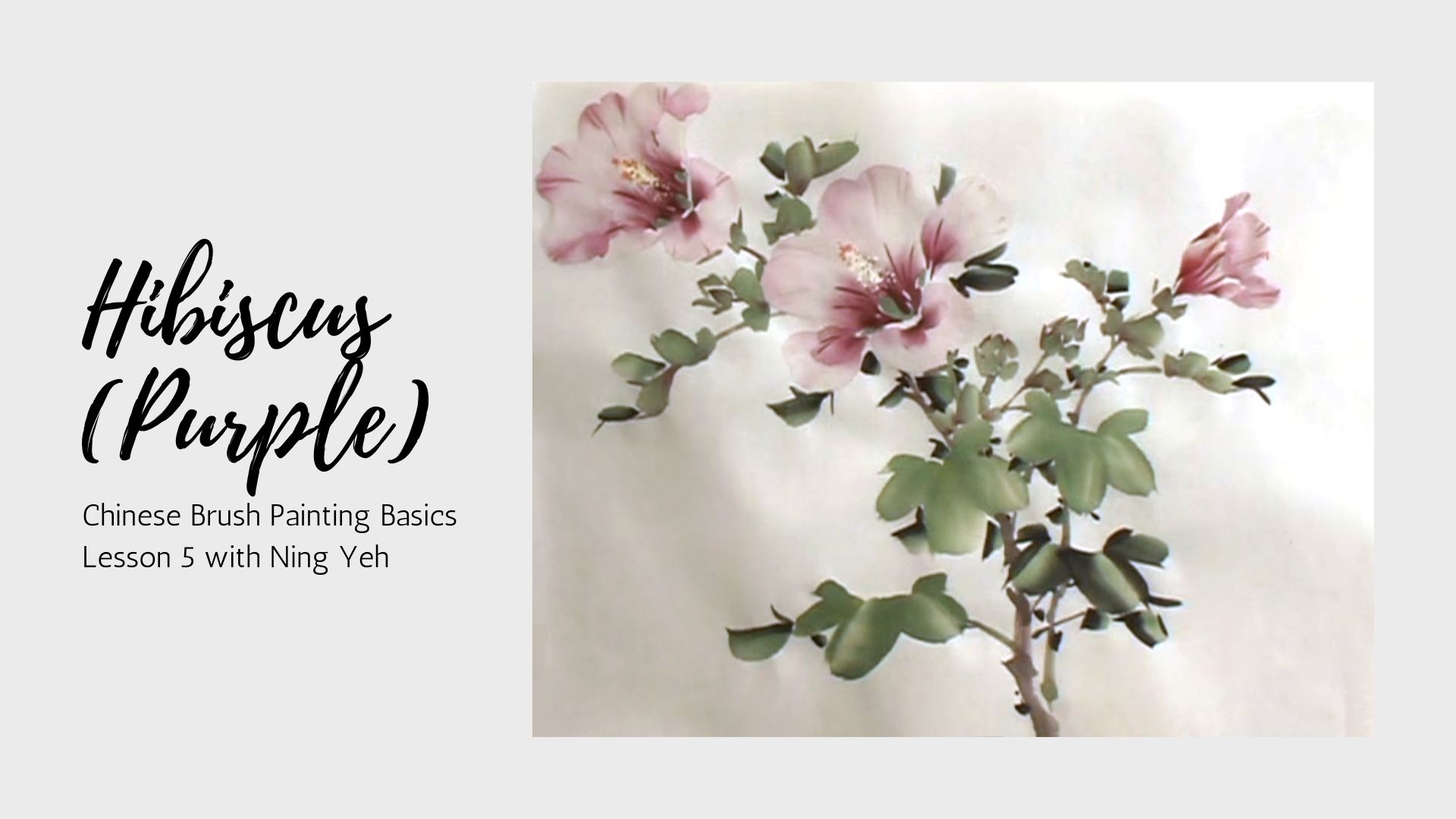 Chinese Brush Painting Basics: Lesson 5 - Hibiscus (Purple)