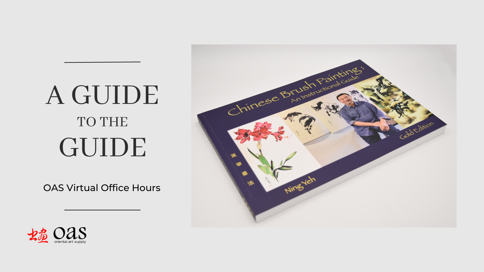 Virtual Office Hours: A Guide to the Guide