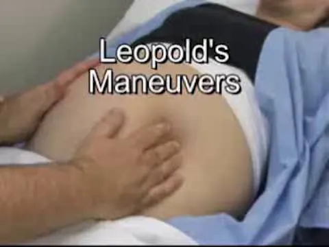 Leopold's Maneuvers