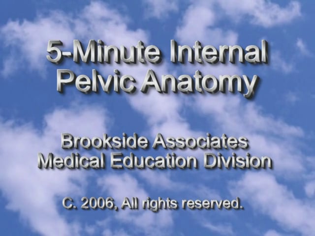 5 Minute Internal Pelvic Anatomy