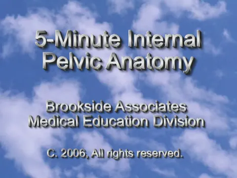5 Minute Internal Pelvic Anatomy