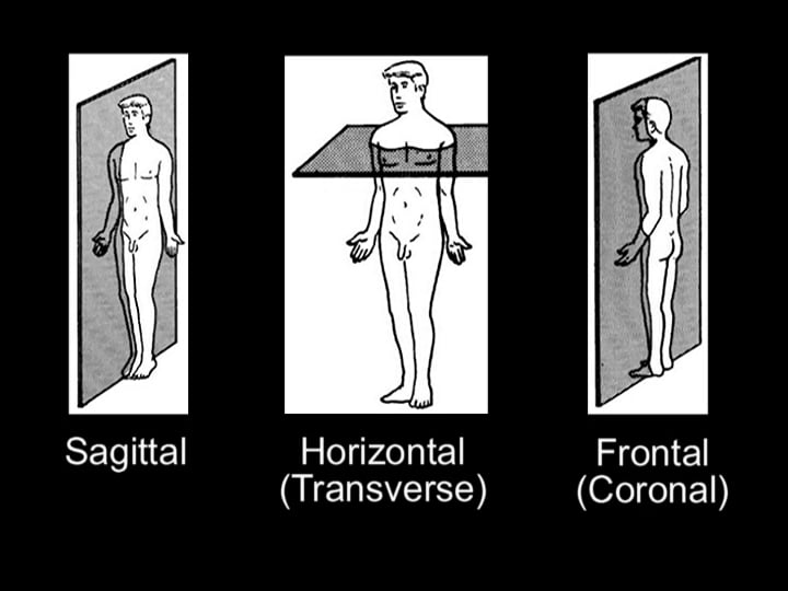 Basic Human Anatomy: 1. Introduction and Terminology