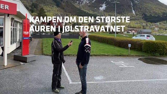 Kampen om den største auren i Jølstra...