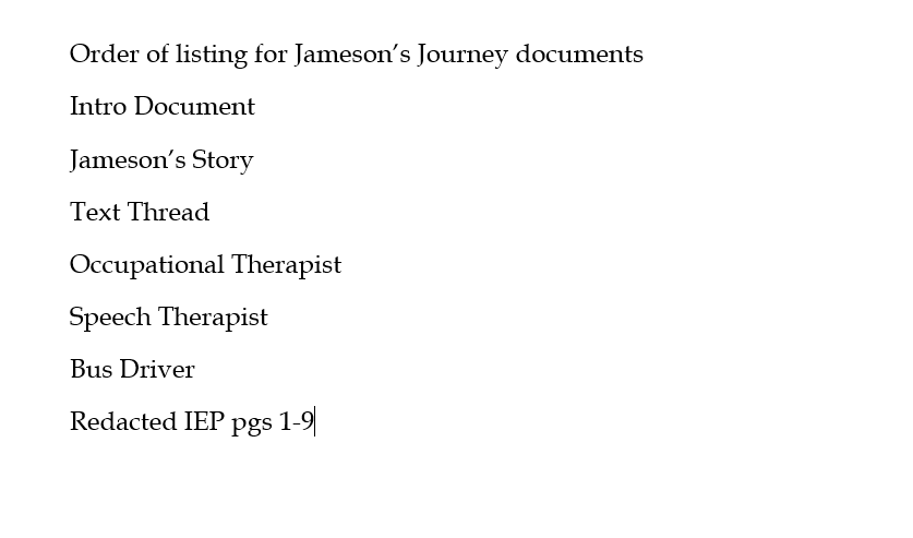 Jameson's Journey - with Autism - Diagnosis to present