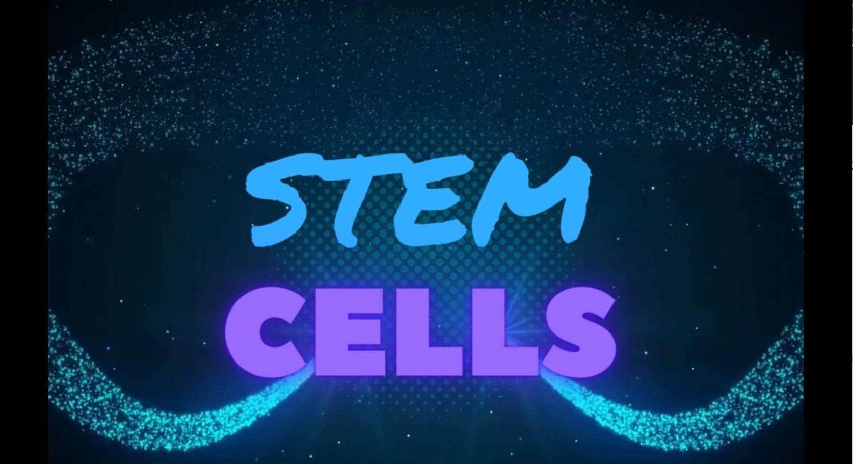 Everything Stem Cells Series