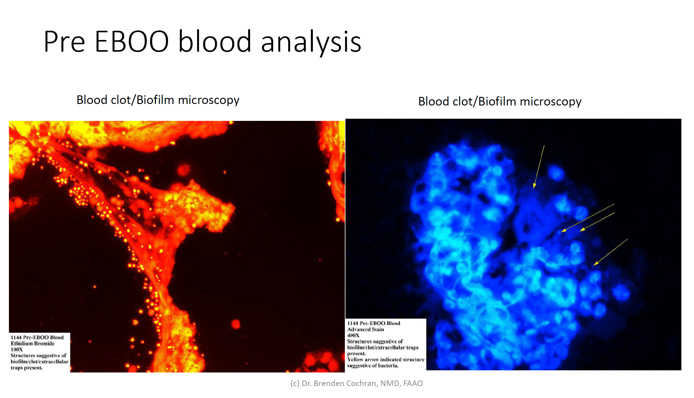 EBOOF-Applications.pdf