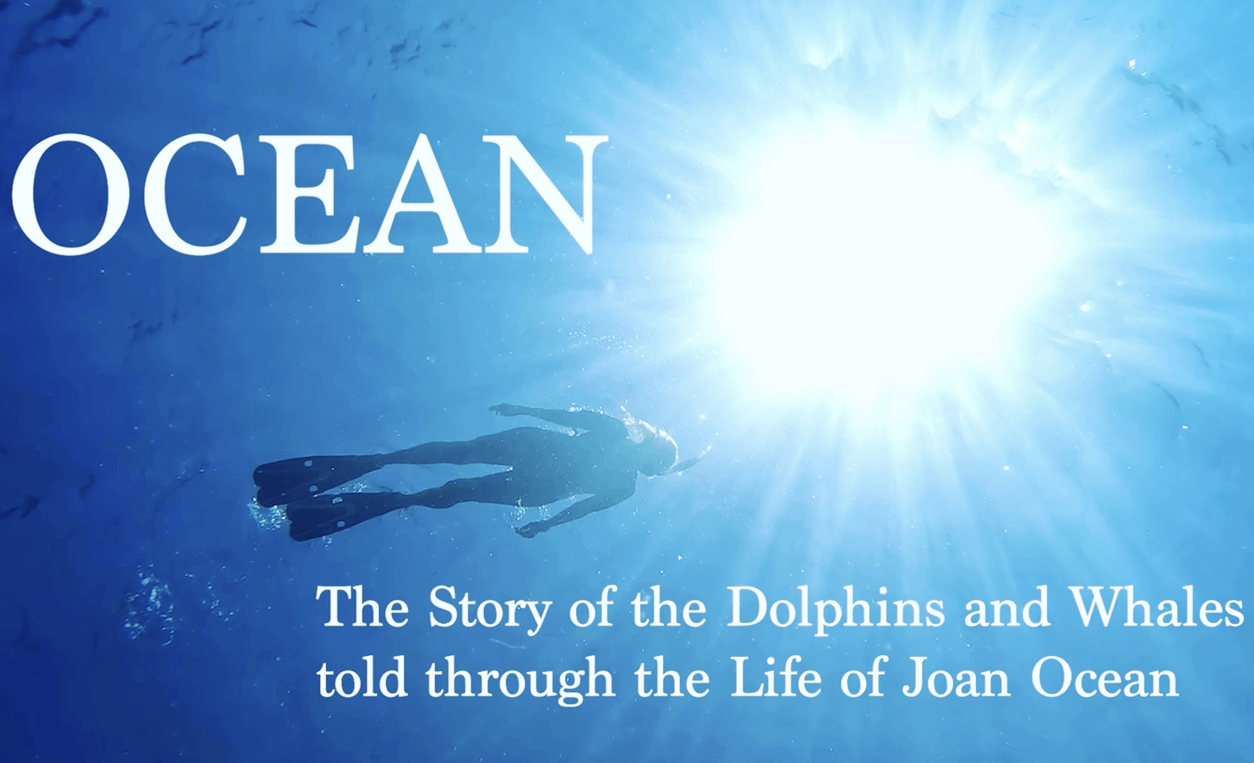 OCEAN- The Story of the Dolphins and Whales told through the Life of Joan Ocean