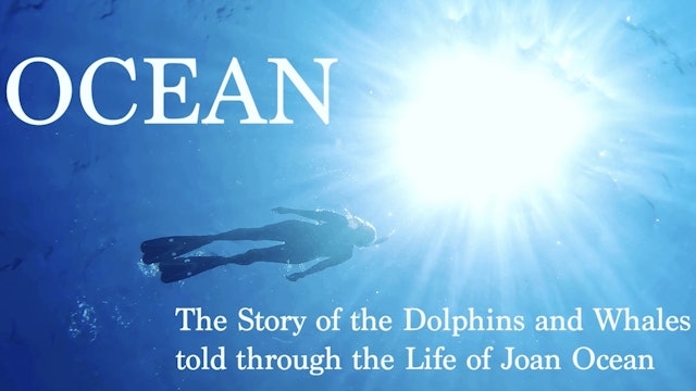 OCEAN- The Story of the Dolphins and Whales told through the Life of Joan Ocean