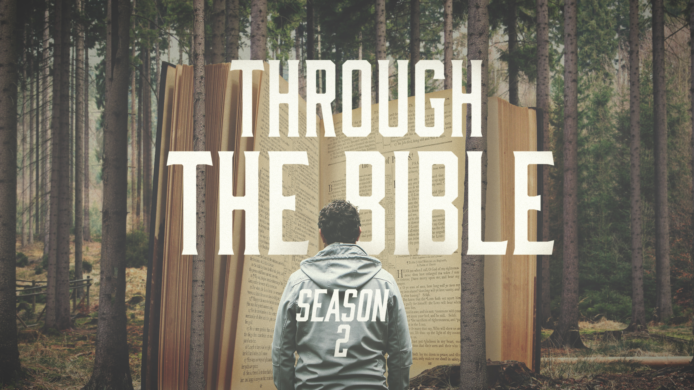 Through The Bible