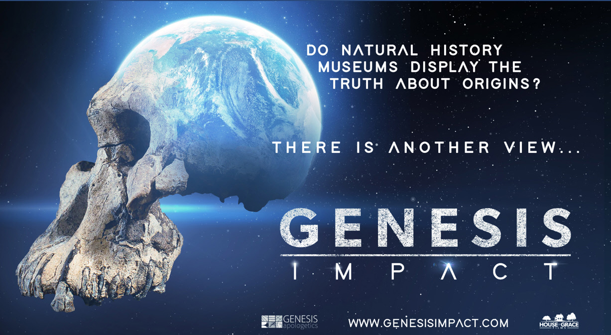 Genesis Impact