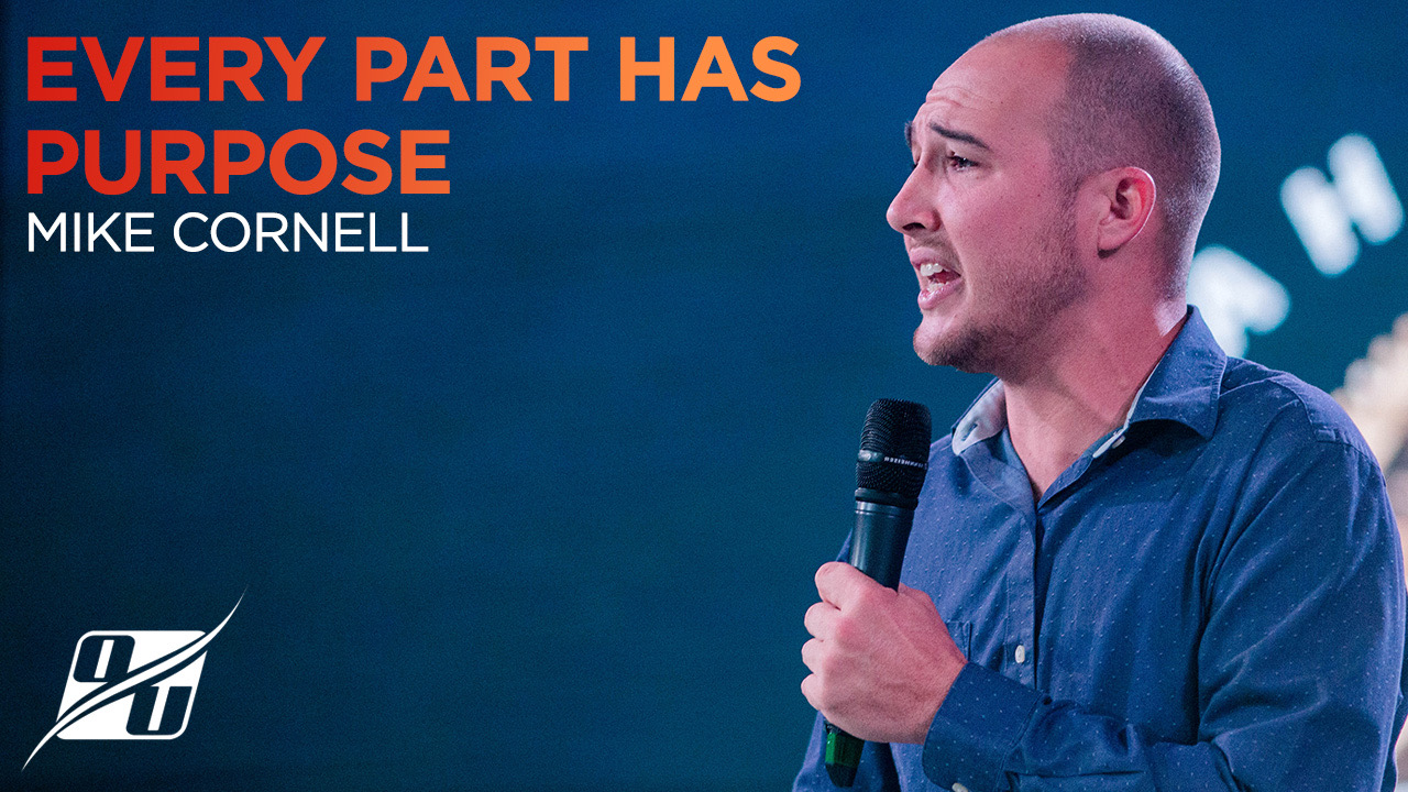 Every Part Has Purpose