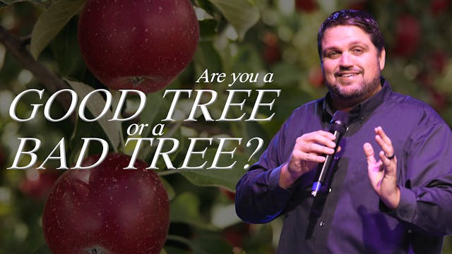 Are you a good tree or bad tree| Past...