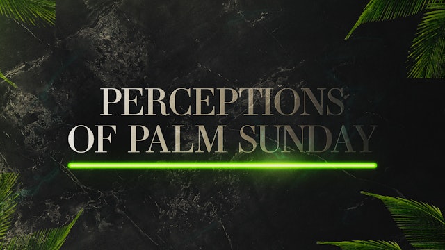 Perceptions of Palm Sunday 2021