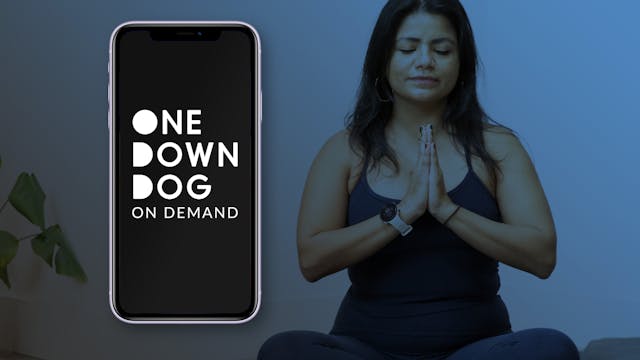 One Down Dog On Demand