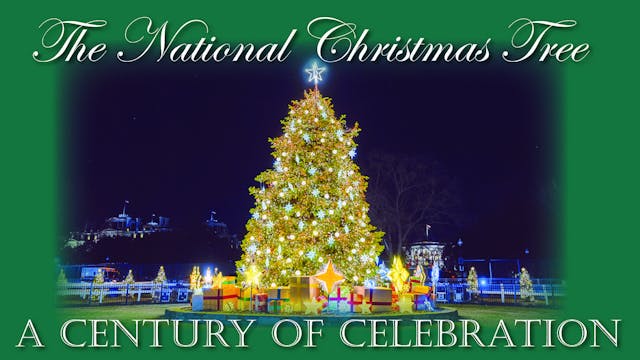 The National Christmas Tree, A Century of Celebration