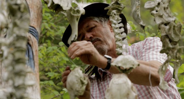 Old Wild Lorenz | Versione italiana