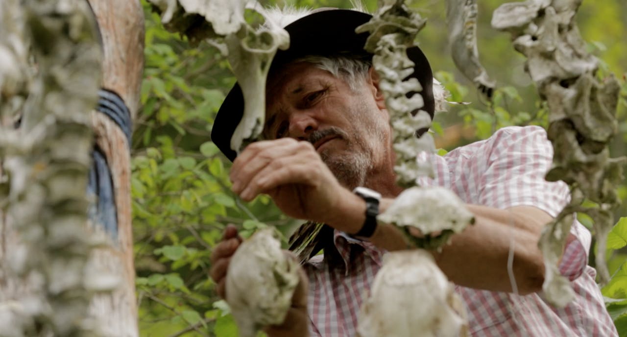 Old Wild Lorenz | Versione italiana