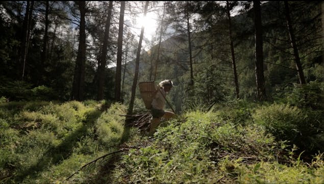 Old Wild Lorenz | English version