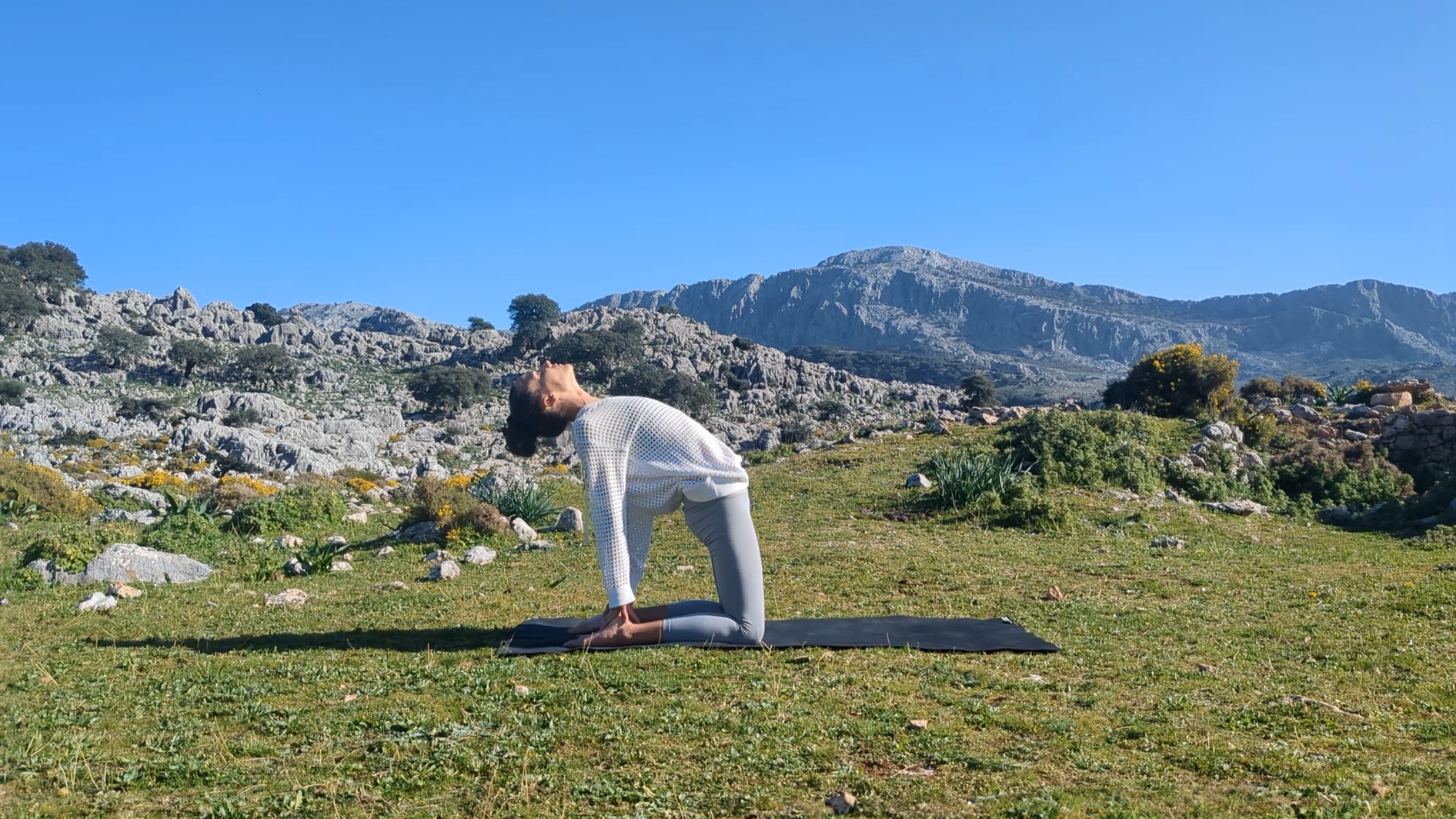 Slow Spine | 22 mins