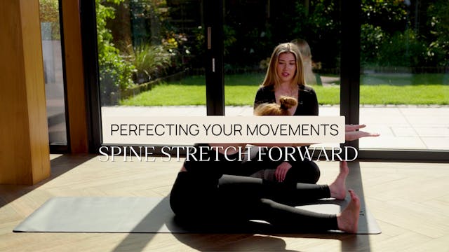 Perfecting Your Movements - Spine Str...